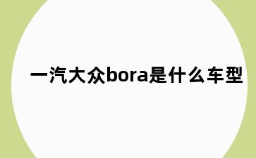 一汽大众bora是什么车型