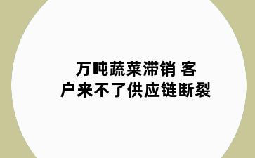 万吨蔬菜滞销 客户来不了供应链断裂