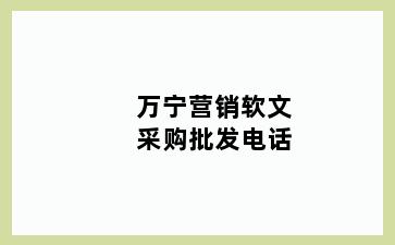 万宁营销软文采购批发电话