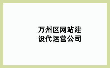 万州区网站建设代运营公司