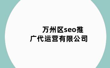 万州区seo推广代运营有限公司