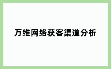 万维网络获客渠道分析