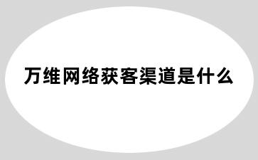 万维网络获客渠道是什么