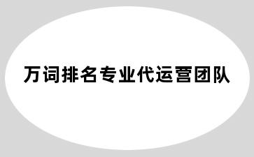 万词排名专业代运营团队