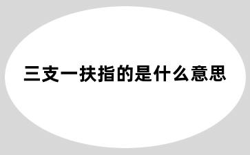 三支一扶指的是什么意思