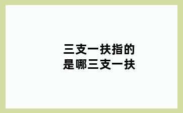 三支一扶指的是哪三支一扶