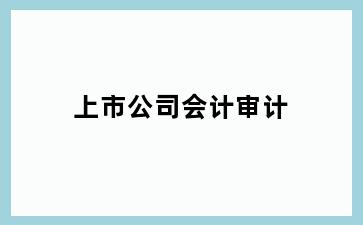 上市公司会计审计