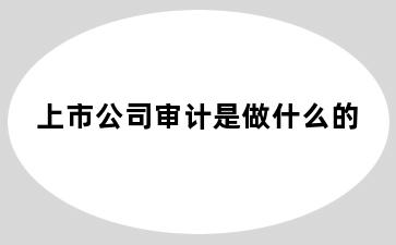 上市公司审计是做什么的