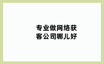 专业做网络获客公司哪儿好