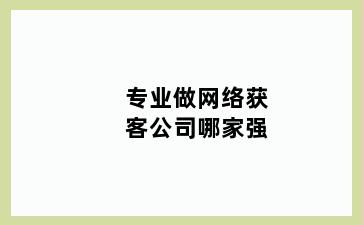 专业做网络获客公司哪家强