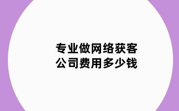 专业做网络获客公司费用多少钱