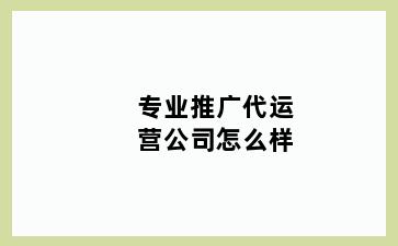 专业推广代运营公司怎么样