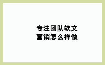 专注团队软文营销怎么样做