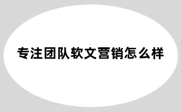 专注团队软文营销怎么样