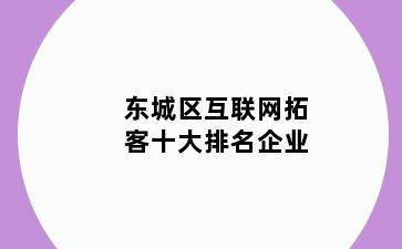 东城区互联网拓客十大排名企业