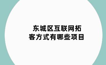 东城区互联网拓客方式有哪些项目