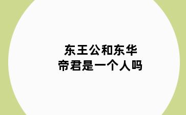 东王公和东华帝君是一个人吗