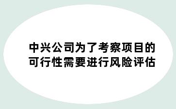 中兴公司为了考察项目的可行性需要进行风险评估