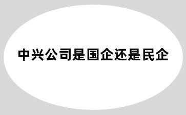 中兴公司是国企还是民企