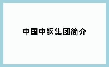 中国中钢集团简介