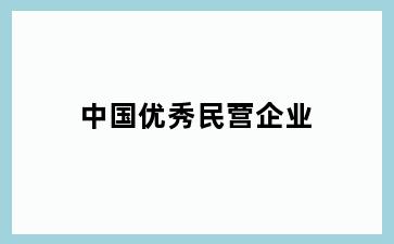 中国优秀民营企业