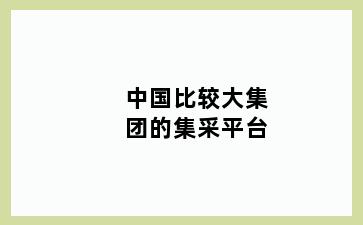 中国比较大集团的集采平台