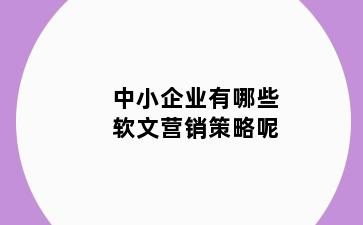 中小企业有哪些软文营销策略呢