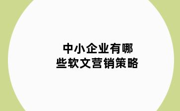 中小企业有哪些软文营销策略