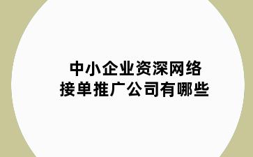 中小企业资深网络接单推广公司有哪些