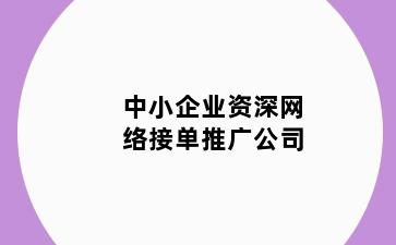 中小企业资深网络接单推广公司