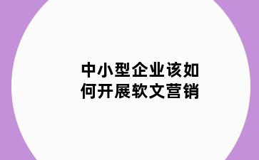 中小型企业该如何开展软文营销