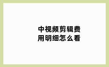 中视频剪辑费用明细怎么看