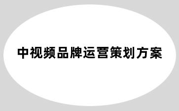 中视频品牌运营策划方案