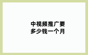 中视频推广要多少钱一个月