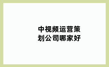 中视频运营策划公司哪家好