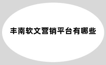 丰南软文营销平台有哪些