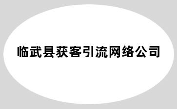 临武县获客引流网络公司