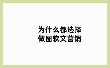 为什么都选择做图软文营销