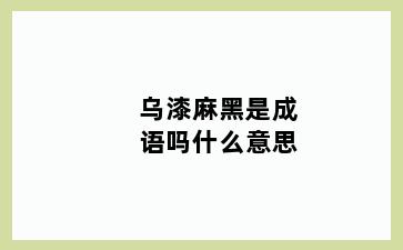 乌漆麻黑是成语吗什么意思