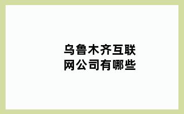 乌鲁木齐互联网公司有哪些