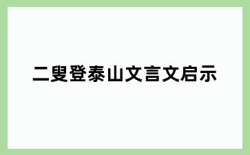 二叟登泰山文言文启示