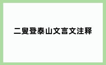 二叟登泰山文言文注释