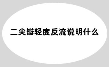 二尖瓣轻度反流说明什么