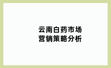 金牛白药市场营销策略分析