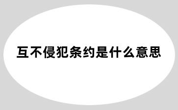 互不侵犯条约是什么意思