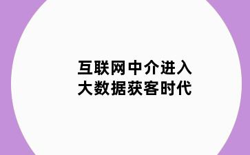 互联网中介进入大数据获客时代