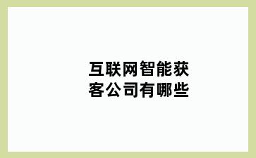 互联网智能获客公司有哪些