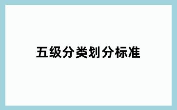 五级分类划分标准