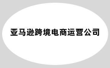 亚马逊跨境电商运营公司