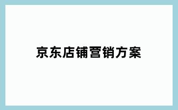 京东店铺营销方案